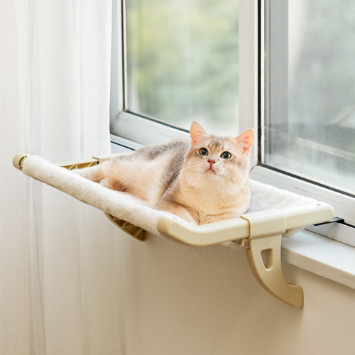 Panoramic Window Perch