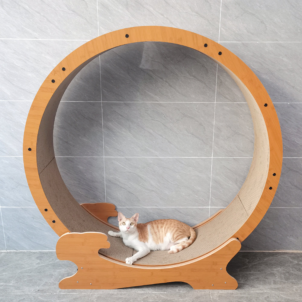cat treadmill wheel