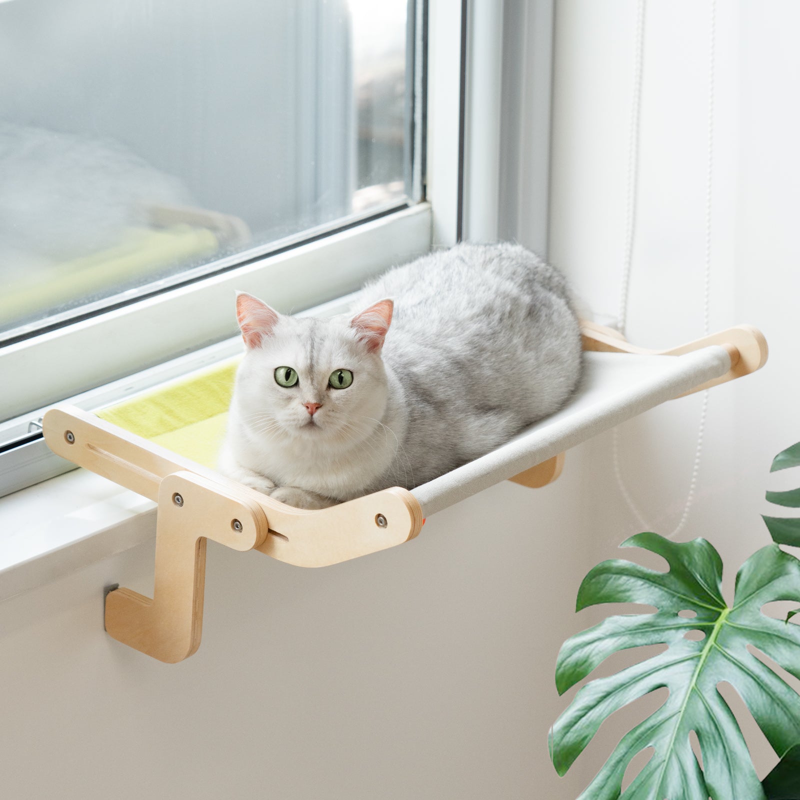 Large Cat Window Perch