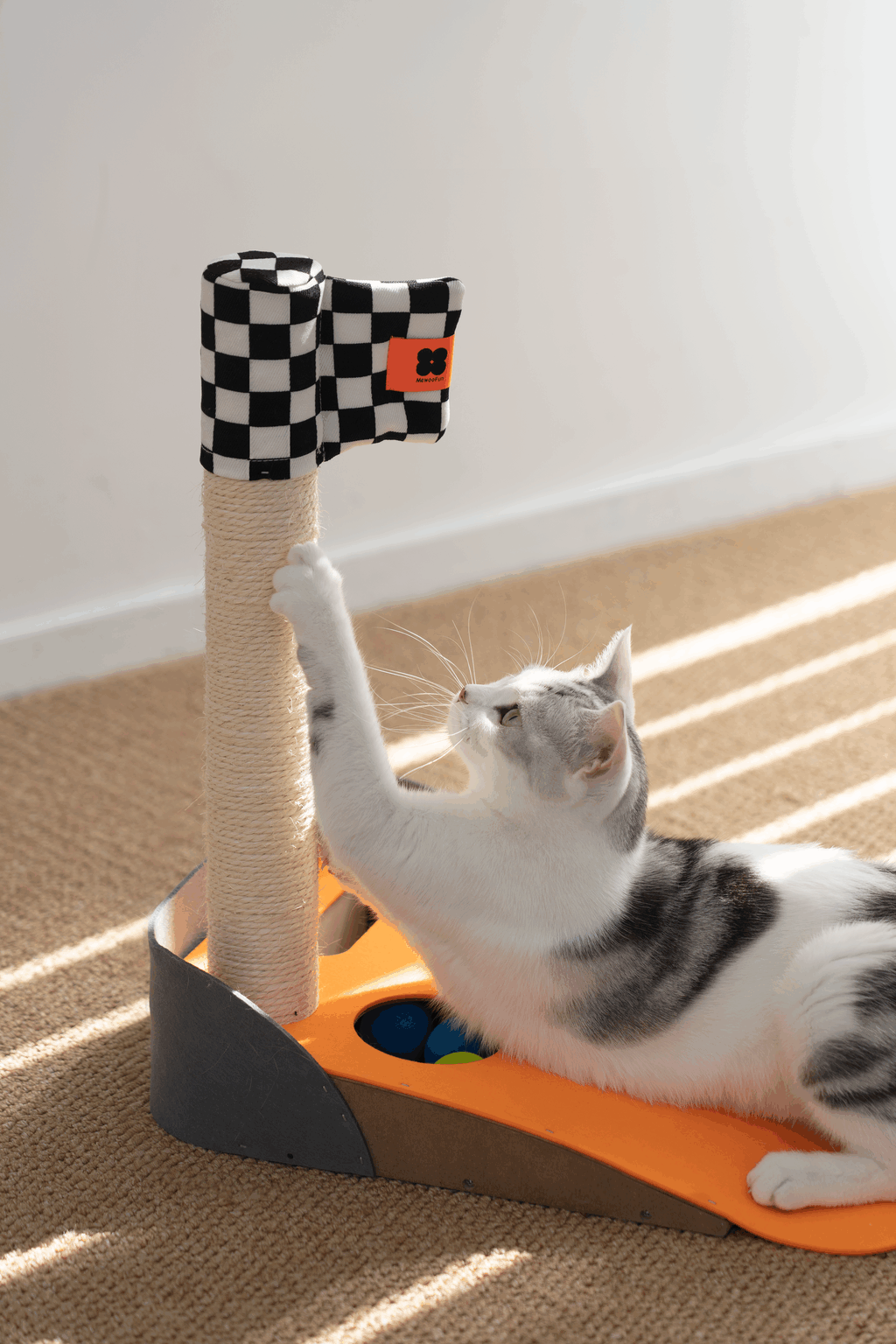 Mini Golf Cat Scratcher
