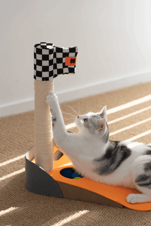 Mini Golf Cat Scratcher