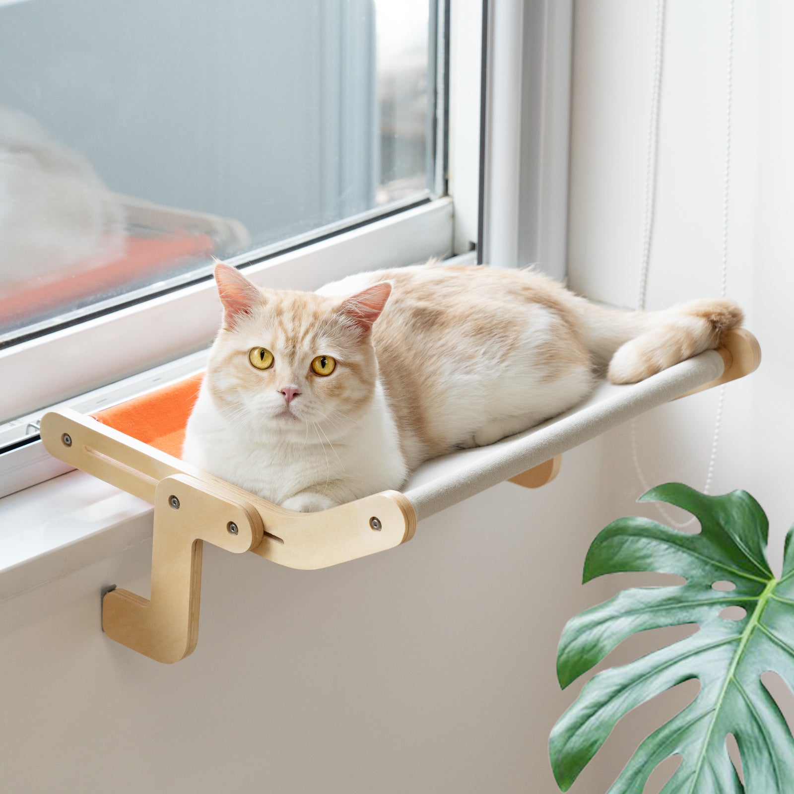 Sleek Window Lounge for Big Cats